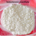 Стероиды enanthate порошка тестостерона для бодибилдинга